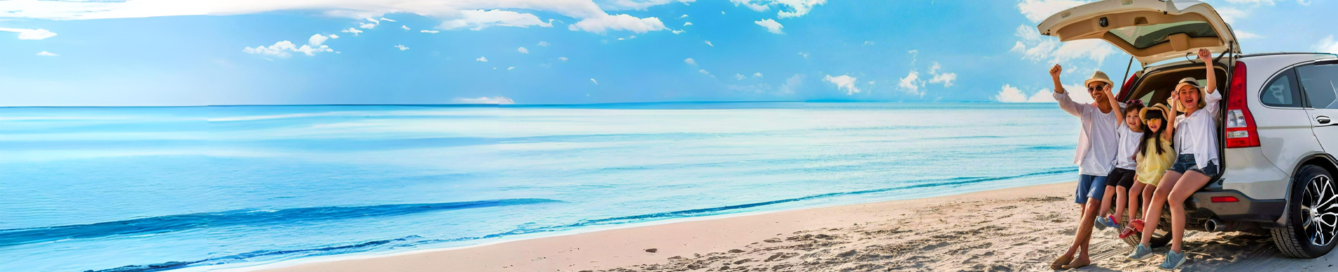 Araç Kiralama Araç Kiralama